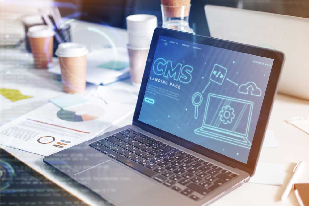 création site web developpement wordpress SMMA en france